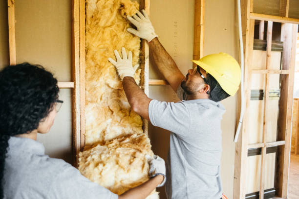 Best Affordable Insulation Services  in Howard, WI